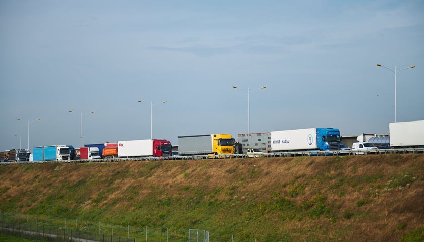 na zdjęciu ilustracyjnym korek ciężarówek na autostradzie