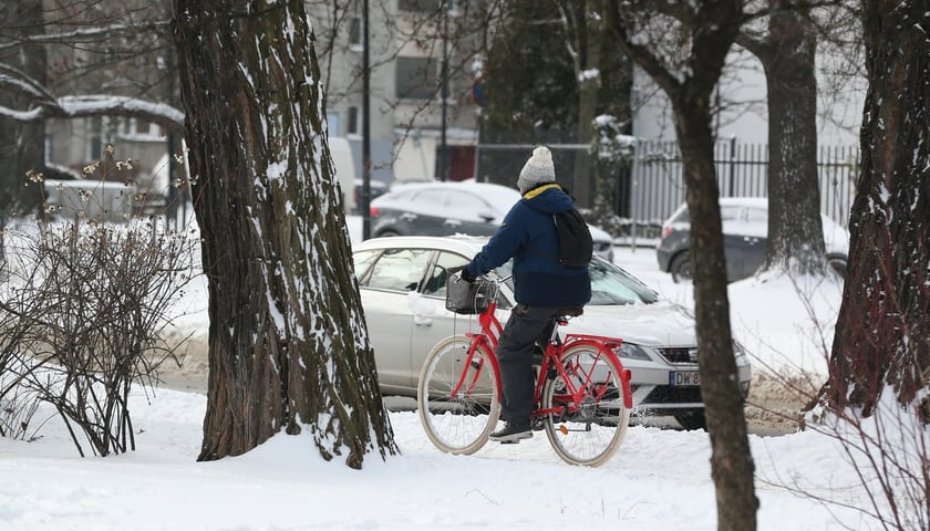 Na zdjęciu rowerzysta jedzie po zaśnieżonym chodniku (zdjęcie ilustracyjne)  