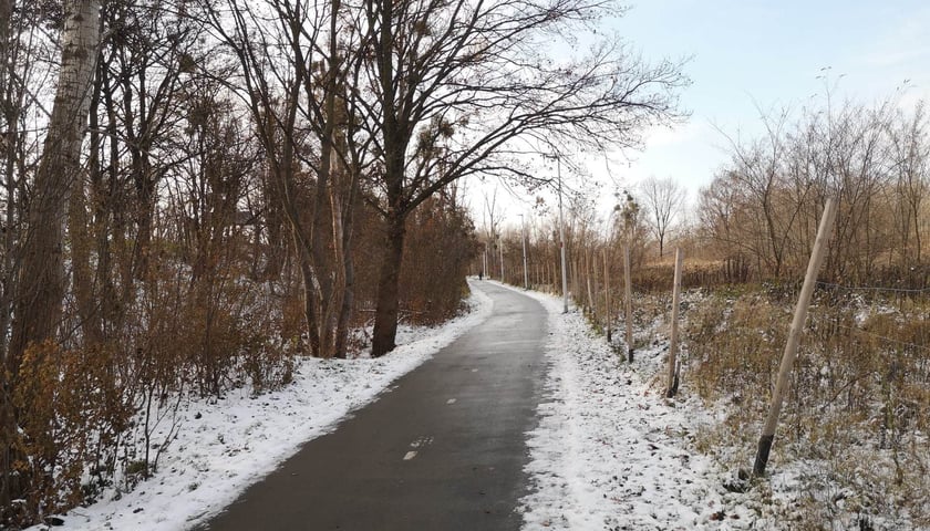 Na zdjęciu ścieżka pieszo-rowerowa wzdłuż al. Karkonowskiej