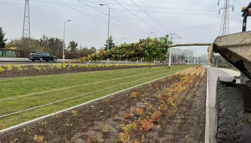 Powiększ obraz: Tramwaj na Popowice