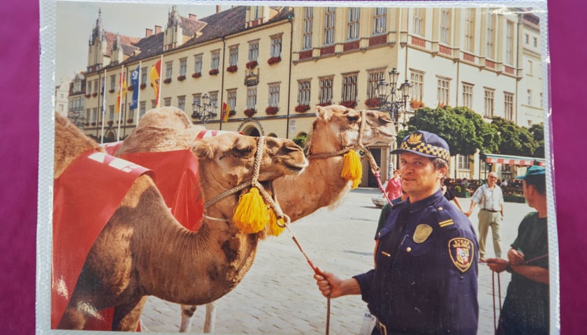 Na zdjęciu widać strażnika miejskiego z wielbłądami. Ta fotografia to część zbiorów zgromadzonych w Sali Tradycji 