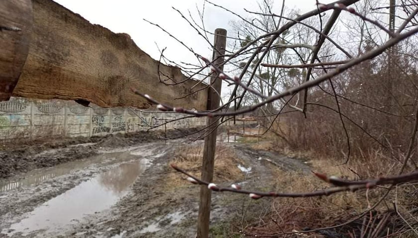 Powiększ obraz: Promenada Krzycka