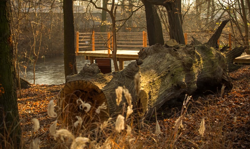 Na zdjęciu park Czarna Woda - teren zielony na Swojczycach zrealizowany dzięki WBO