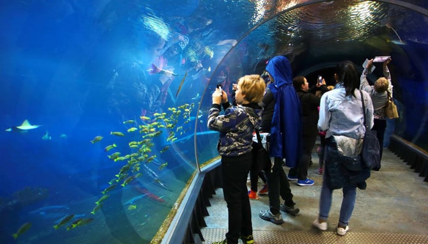 Afrykarium ZOO Wrocław