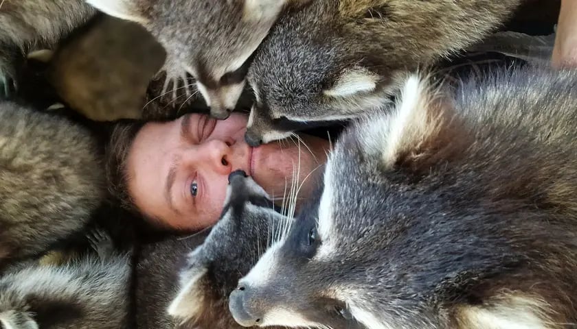 Dr Grzegorz Dziwak z ukochanymi szopami