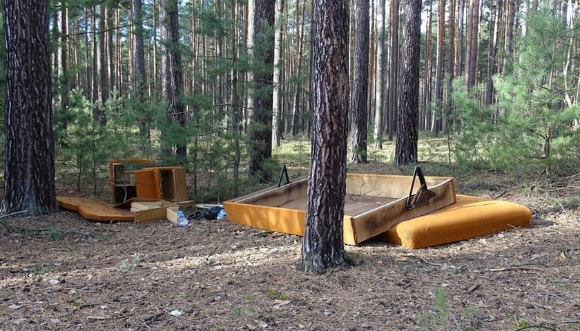 Na zdjęciu zniszczone meble między drzewami w lesie