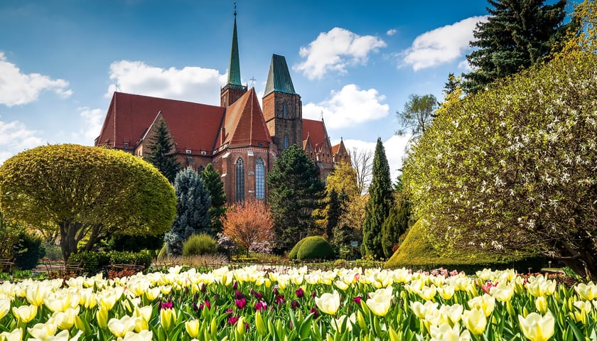 Na zdjęciu widok na Ogród Botaniczny we Wrocławiu
