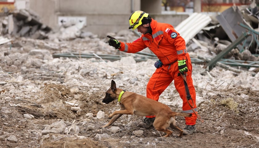 Ratownik Specjalistycznej Grupy Poszukiwawczo-Ratowniczej w Wałbrzychu wydaje swojemu psu komendę rozpoczynającą ćwiczenie poszukiwawcze na gruzowisku dawnego parkingu przy ul. Swobodnej