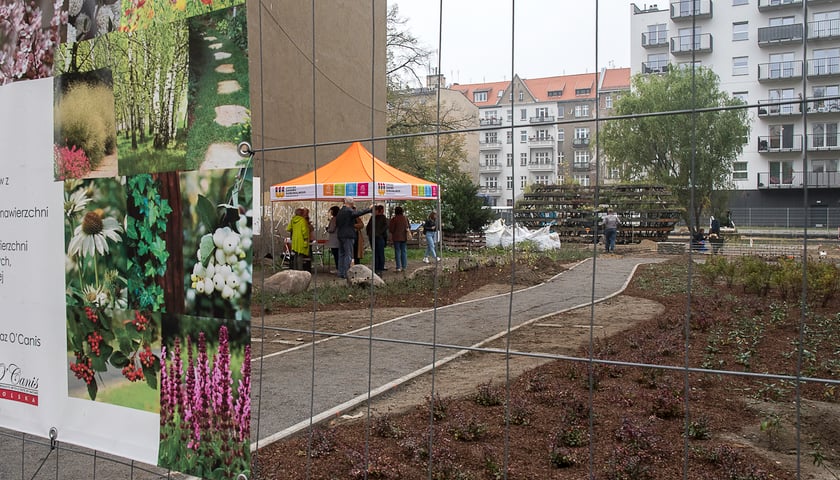 Parki kieszonkowe