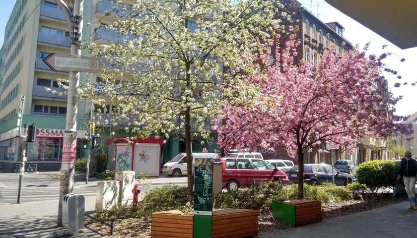 Parki kieszonkowe