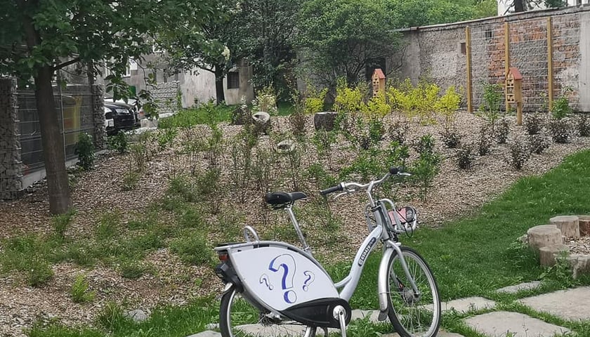 Parki kieszonkowe
