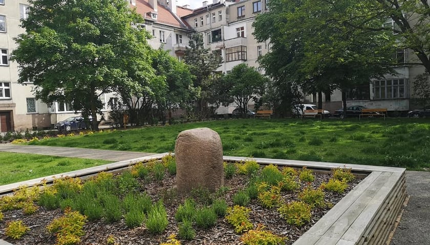 Parki kieszonkowe