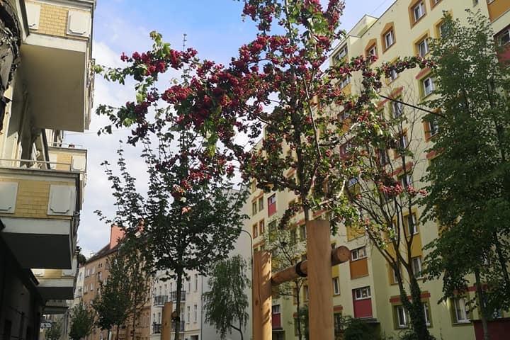 Parki kieszonkowe