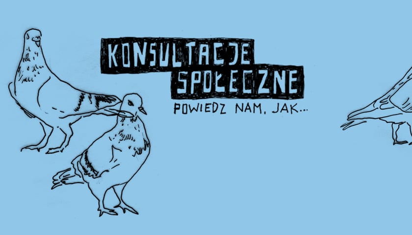 Napis na niebieskim tle: "Konsultacje społeczne. Powiedz nam, jak". Na rysunku dwa gołębie po lewej stronie, i jeden po prawej, wystający częściowo poza kadr.
