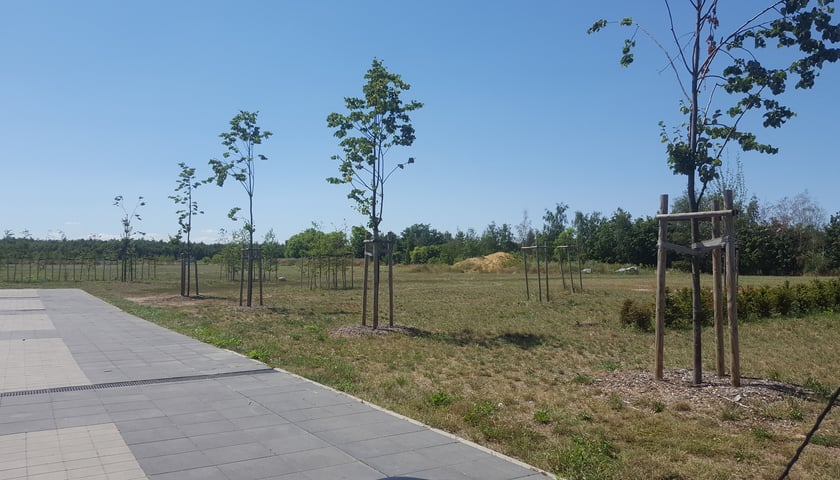 Zdjęcie sprzed inwestycji