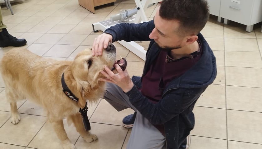 Na zdjęciu dr Maciej Grzegory z Przychodni Weterynaryjnej Uniwersytetu Przyrodniczego zagląda w pysk psu Orionowi