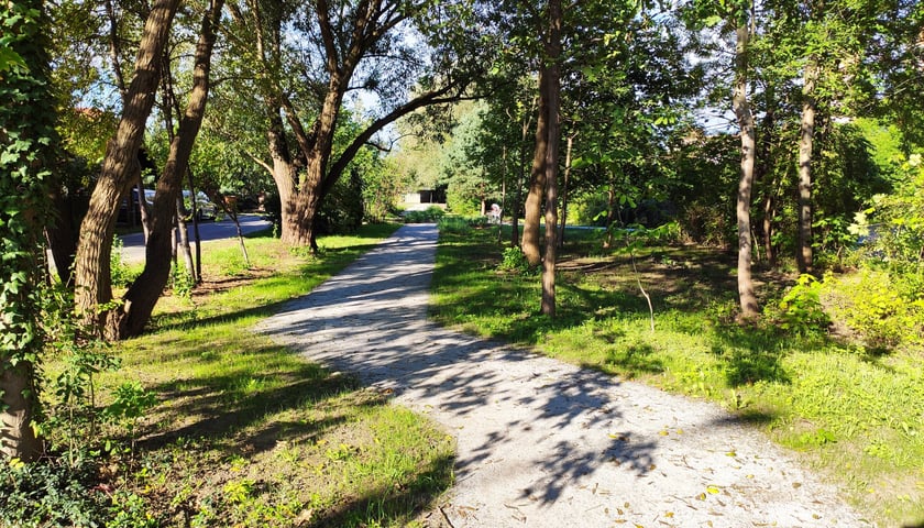 Zieleniec przy ul. Litewskiej – Psie Pole, Zakrzów, Zgorzelisko i Strachocin