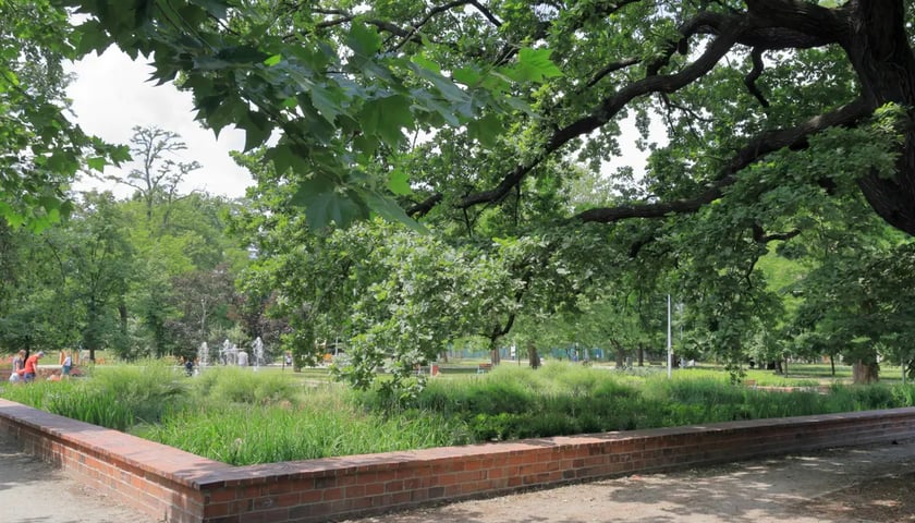 Rewitalizacja Parku Lesława Węgrzynowskiego przy ul. Kolejowej wraz z placem zabaw – Etap I, II, III i IV 