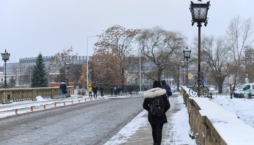 Zima we Wrocławiu (zdjęcie ilustracyjne)