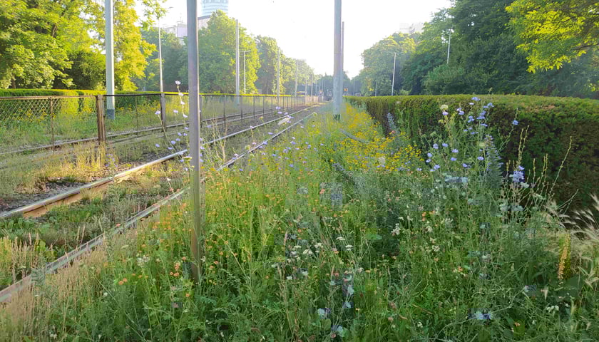 Inwestycja po wykonaniu.