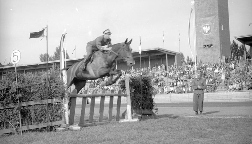 Na zdjęciu widać jeźdźca na koniu pokonującego przeszkodę na Stadionie Olimpijskim we Wrocławiu. Zdjęcia pochodzą z lat 1945-55. 