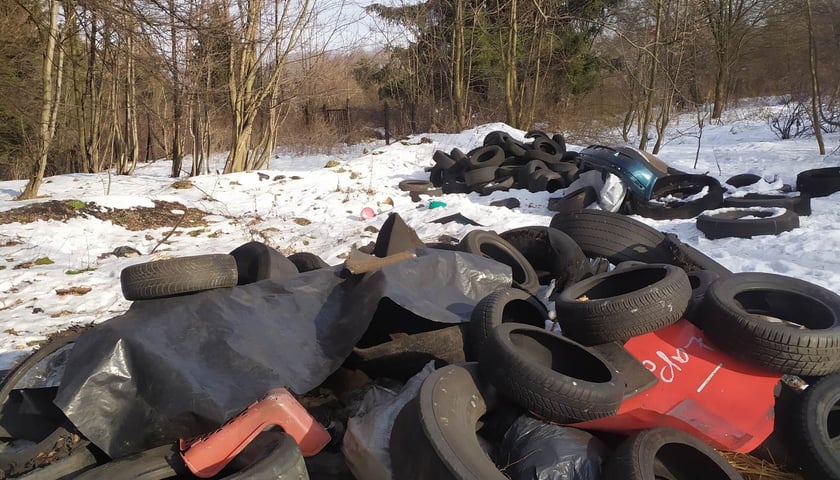 <p>Na zdjęciu: zużyte opony zebrane podczas akcji ,,Kręci Nas Recykling''</p>