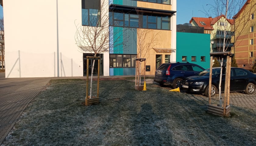 Szkoła Podstawowa nr 99 przy ul. Głubczyckiej 3