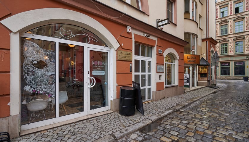 KOTON. Kocia kawiarnia we Wrocławiu
