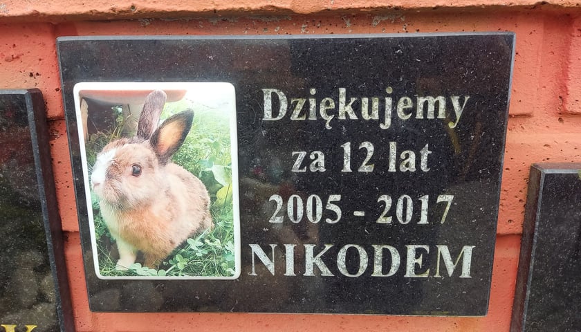 Cmentarz dla zwierząt Tęczowy Most pod Wrocławiem