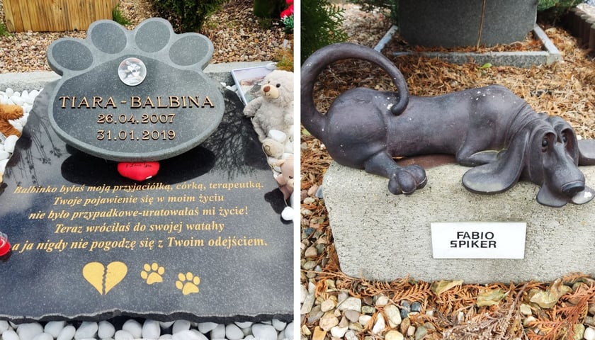 Cmentarz dla zwierząt Tęczowy Most w Szymanowie pod Wrocławiem. Zestawienie dwóch nagrobków