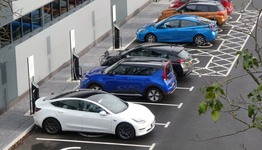 Największym wyzwaniem dla kierowców aut elektrycznych, jest ich ładowanie. Na zdjęciu widać parking, na którym ładują się "elektryki".