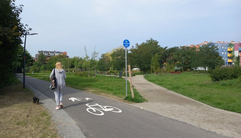 Promenada Krzycka