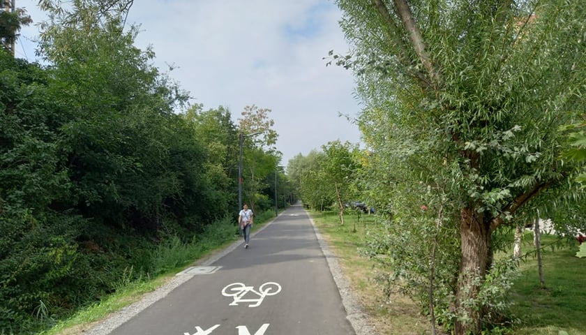 Promenada Krzycka