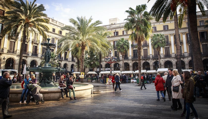 Ludzie na placu w Barcelonie, palmy, budynki