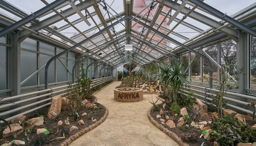 Ogród Botaniczny - szklarnia Afryka