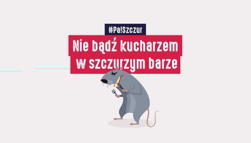 Grafika kampanii Pa!Szczur - szczur z napisem "Nie bądź kucharzem w szczurzym barze"