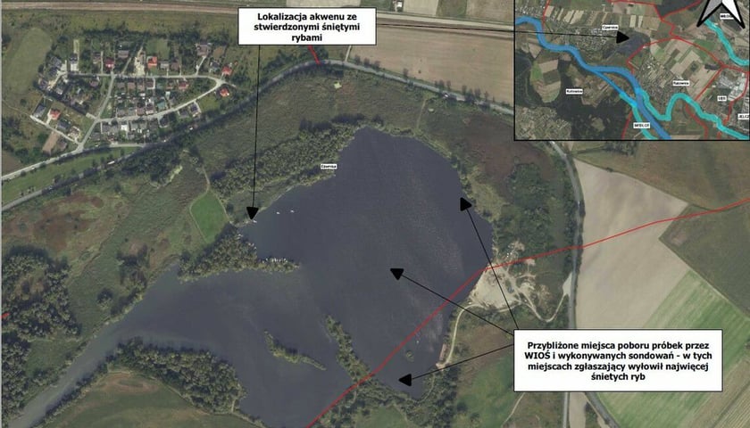 <p>Akcja służb w Czernicy, gdzie znaleziono 100 kilogram&oacute;w śniętych ryb</p>