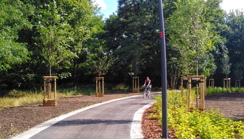 Rowerzystka na gotowym odcinku Promenady Krzyckiej.