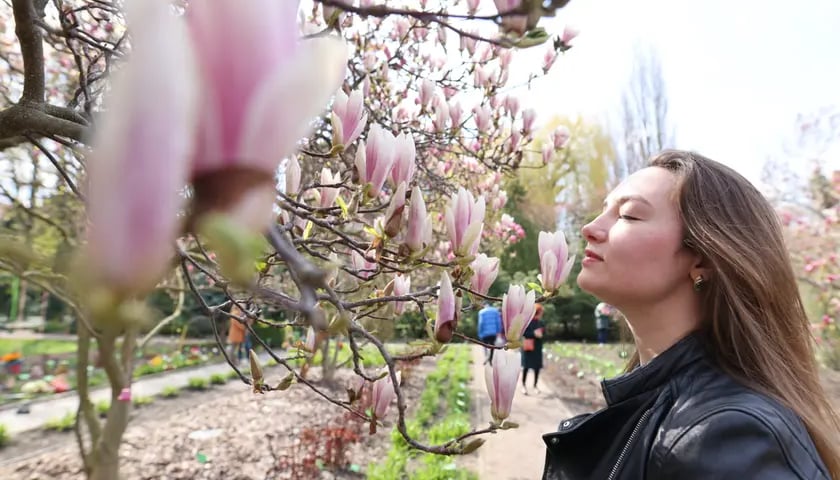 Młoda kobieta wąchająca magnolie w Ogrodzie Botanicznym
