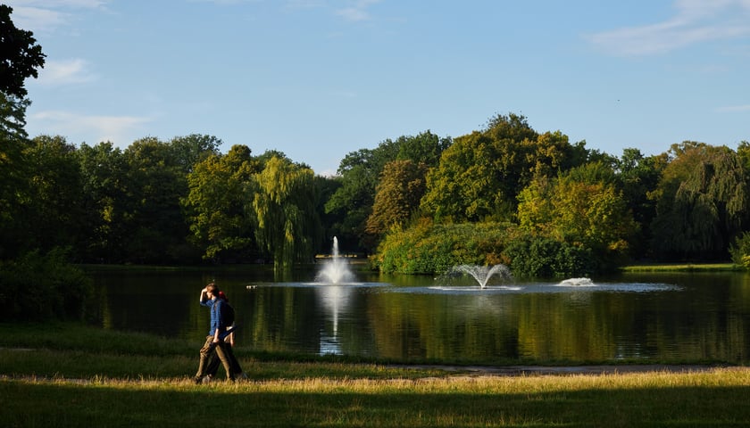 Park Południowy - spokojny, zielony park ze stawem, idealny na piknik