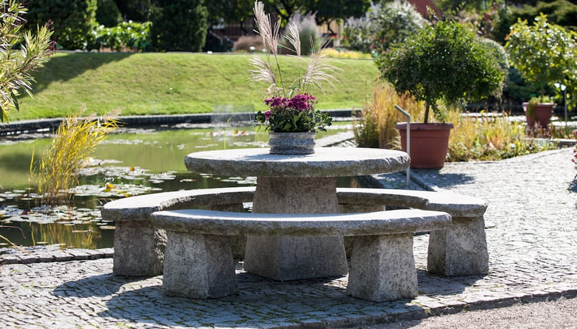 Ogr&oacute;d Botaniczny UWr we Wrocławiu - idealne miejsce dla miłośnik&oacute;w przyrody