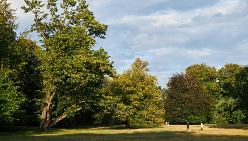 Park Południowy - spokojny, zielony park ze stawem, idealny na piknik