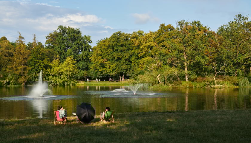 <p>Park Południowy - spokojny, zielony park ze stawem, idealny na piknik</p>