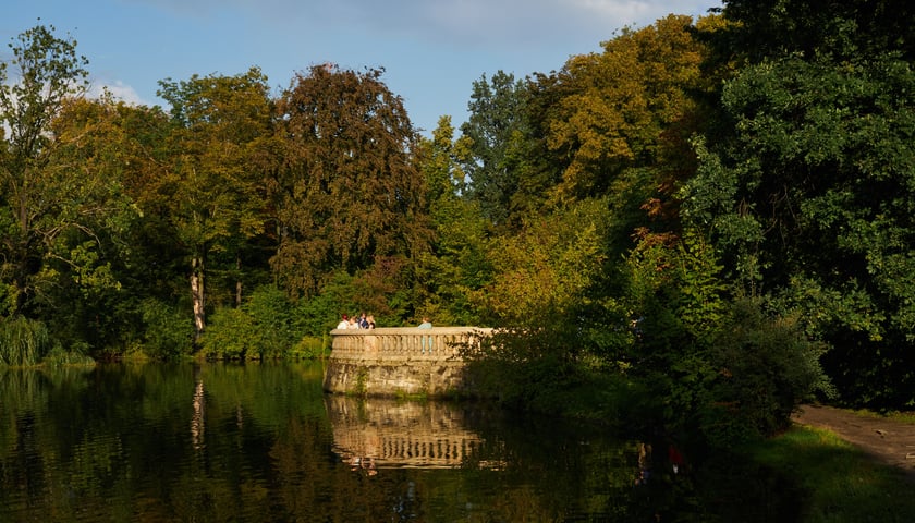 Park Południowy - spokojny, zielony park ze stawem, idealny na piknik
