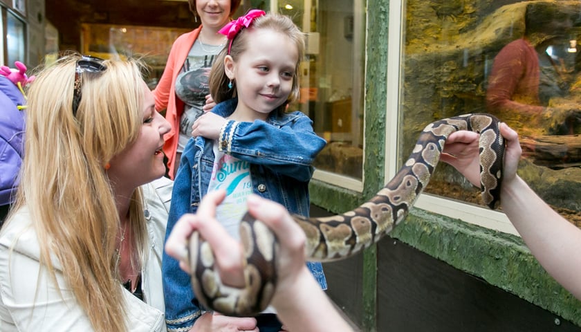 Dziewczynka, kobiety i wąż w zoo wrocławskim