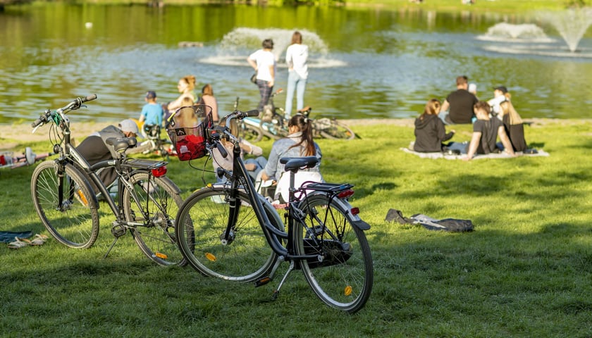 Rowery i ludzie na trawniku w parku Południowym / zdjęcie ilustracyjne