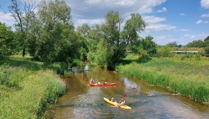 Spływy kajakowe wokół Wrocławia