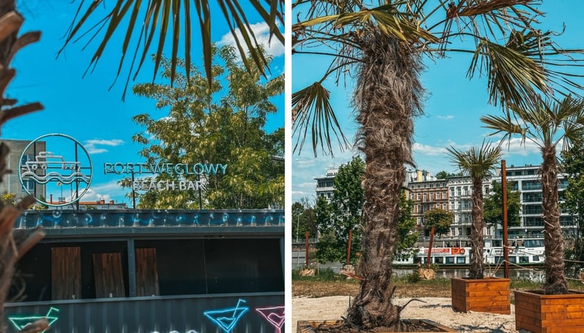 Po lewej: logo (statek na falach wpisany w okrąg) i szyld na kontenerze barowym Beach Baru Port Węglowy; po prawej: palmy w donicach drewnianych  