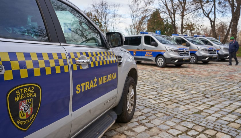 Bok radiowozu Straży Miejskiej Wrocławia, w tle inne służbowe samochody / zdjęcie ilustracyjne
