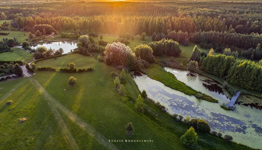 Arboretum Leśne, widok z lotu ptaka